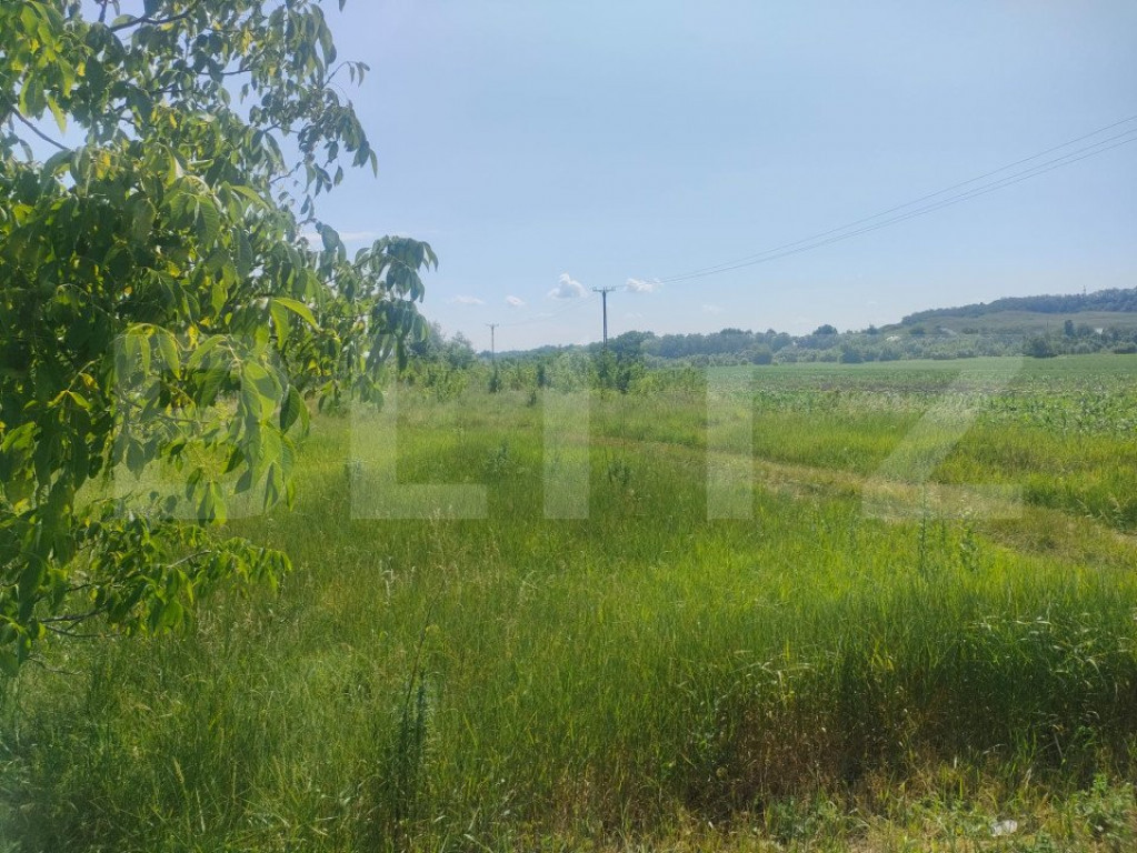 Teren extravilan 4650 mp. Dorohoi