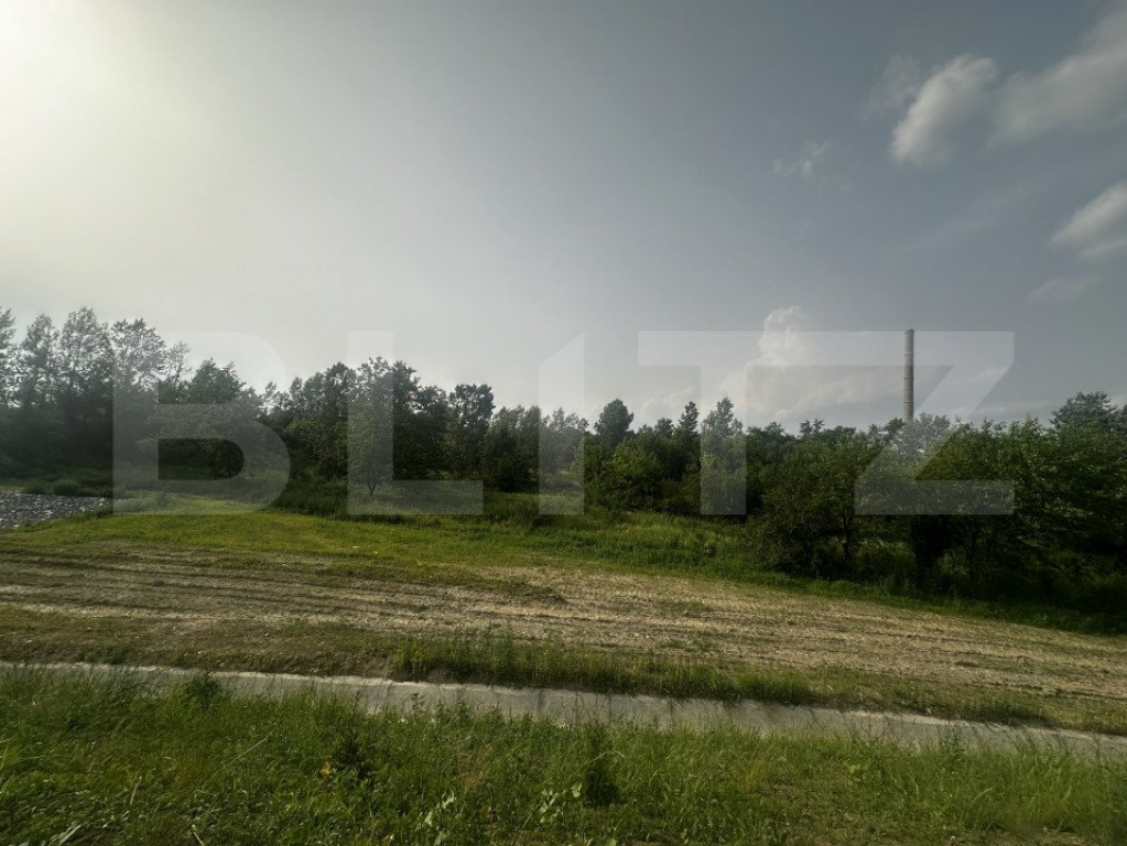 Teren 5000 mp extravilan , zona Romanesti