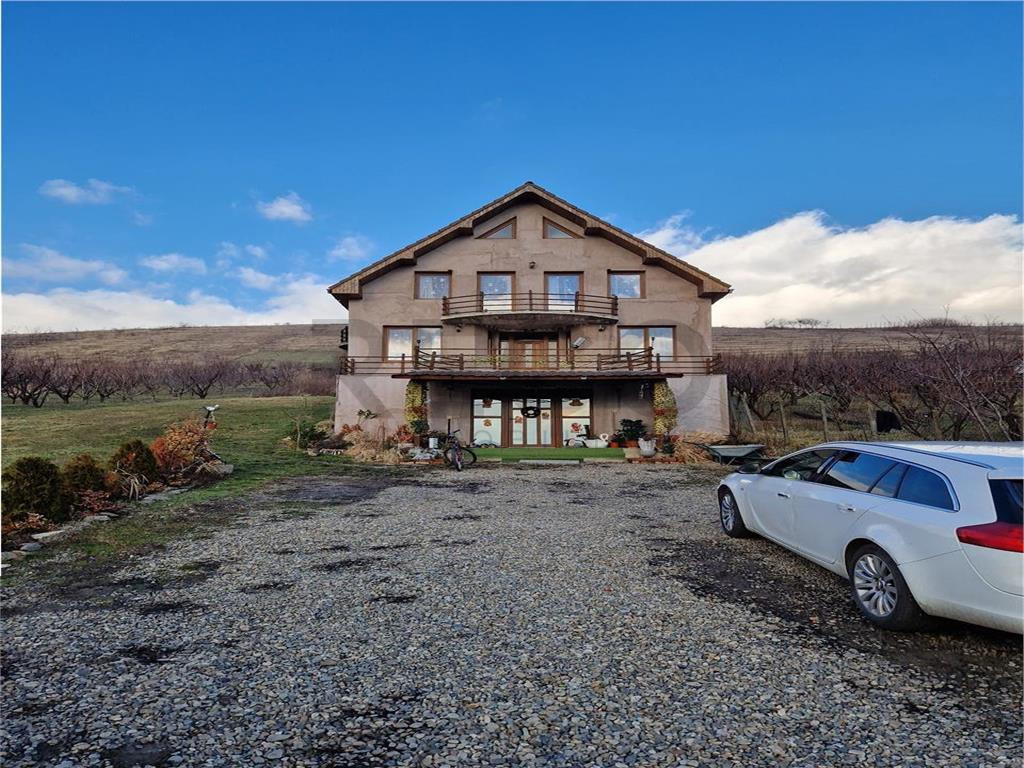 RECO Casa de D P M in Alesd