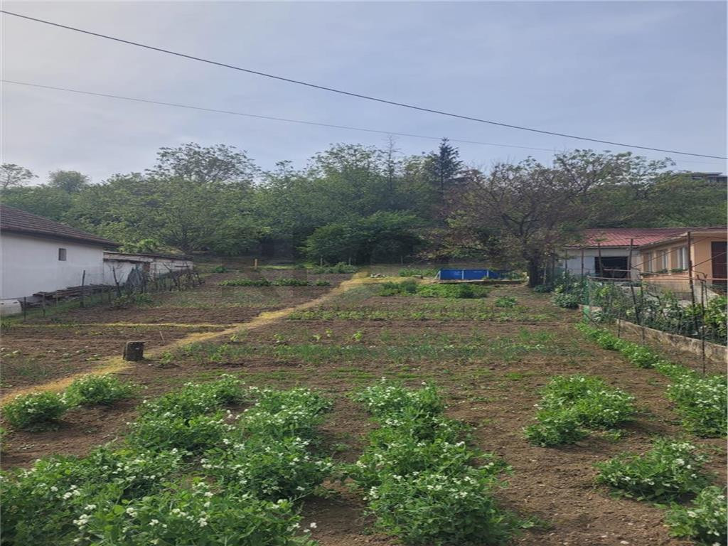 RECO Teren intravilan 3.658 mp