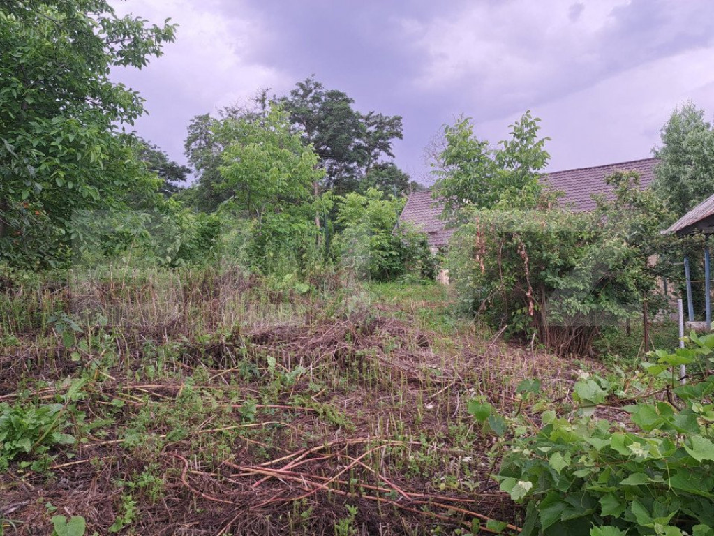 Oferta !!! Casa batraneasca cu 1000 m2 teren