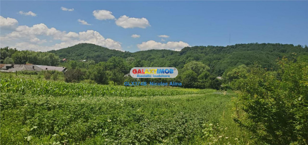 Teren intravilan comuna Bogati sat Birloi Jud. Arges