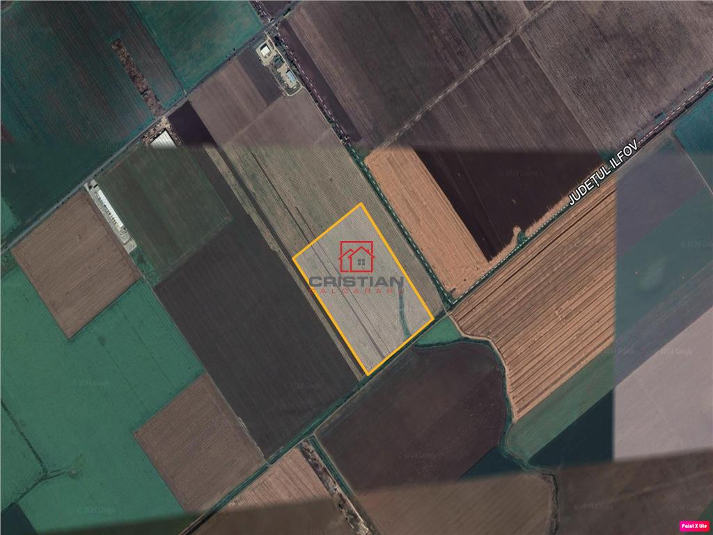 Hale | Afumati DN2 | 1000mp