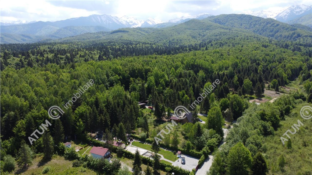 Teren intravilan de in Avrig zona Valea Avrigului