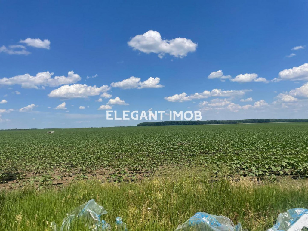 Terenuri Pentru Investitie