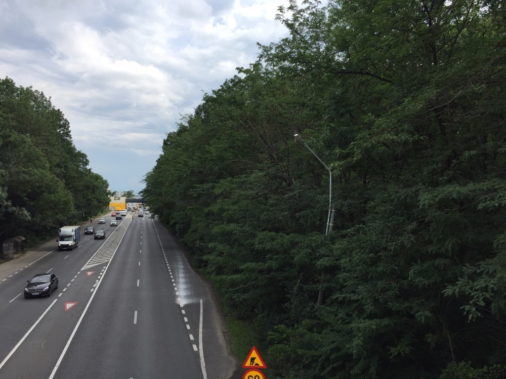 Teren DN1 - Padurea Petresti