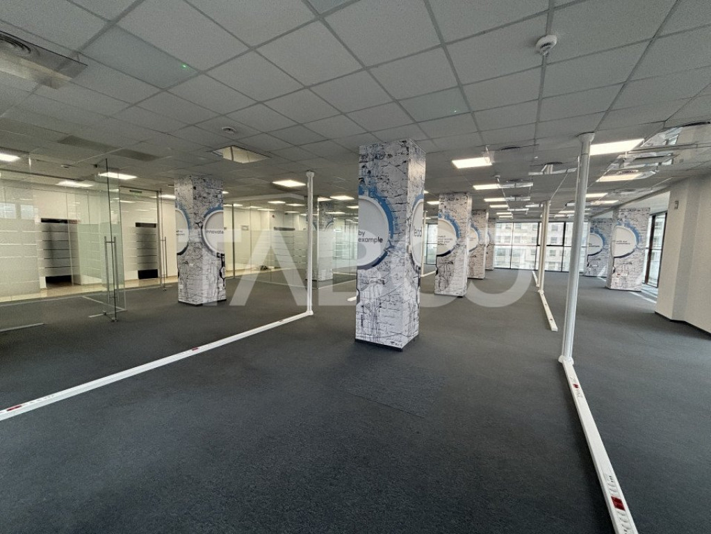 Spatiu de birouri compartimentat pe Calea Dumbravii 350 mp u