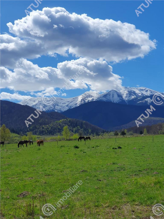 Teren intravilan 1250 mp de in Avrig zona Valea Avrigului