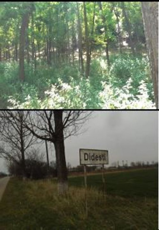 Teren Didesti, ID: R2058941