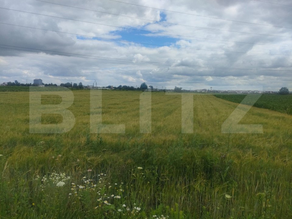 Teren extravilan, 6600 mp, Radauti