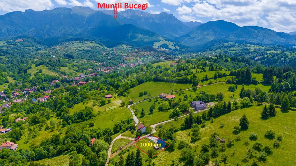 NU RATATI ! Teren 1000 mp Bran/ Casuta A frame 80 mp/Tere...