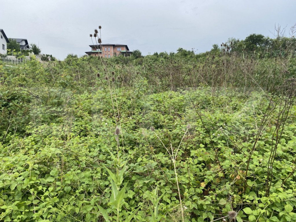 Teren intravilan 500 mp, zona Crangului