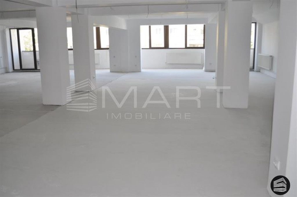 Spatiu birouri & comercial Central