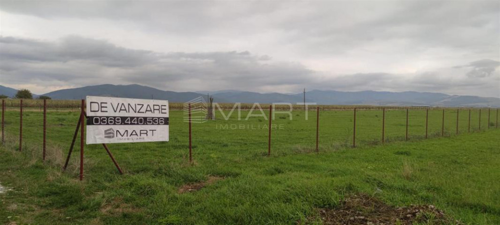 Teren intravilan cu PUZ 30.000 mp Prejmer