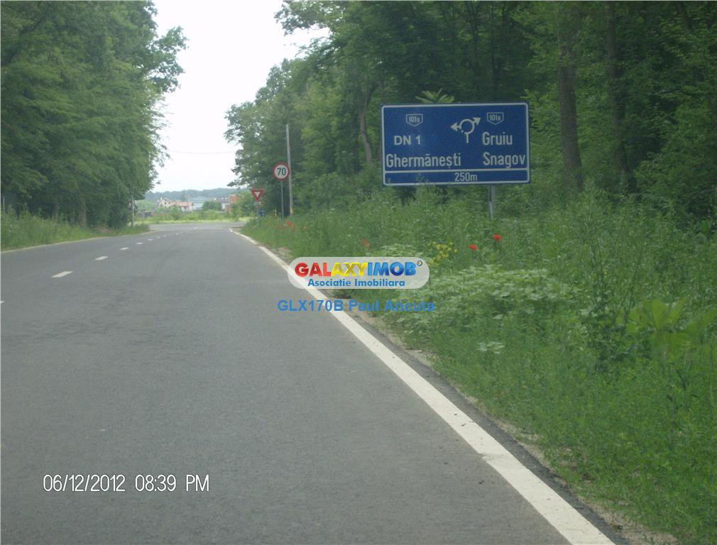 Teren Ciofliceni Snagov 4223mp latura direct padure