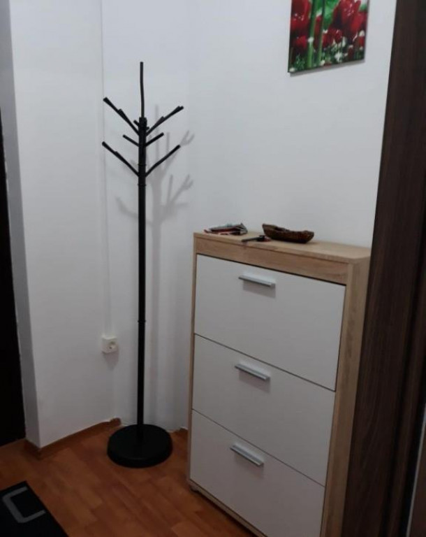 Garsoniera zona centrala, Take Ionescu