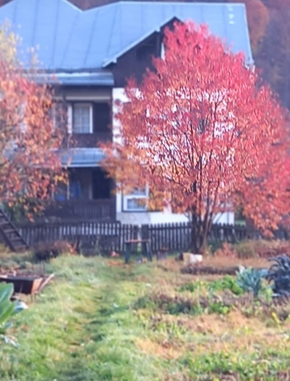 Casa/Vila Zona Manastirea Humorului