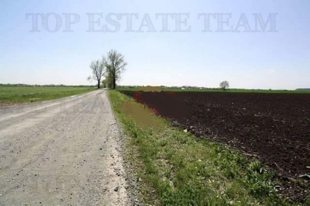 Teren de vazare , 21000mp , Sinesti ,Ialomita, 5 euro mp