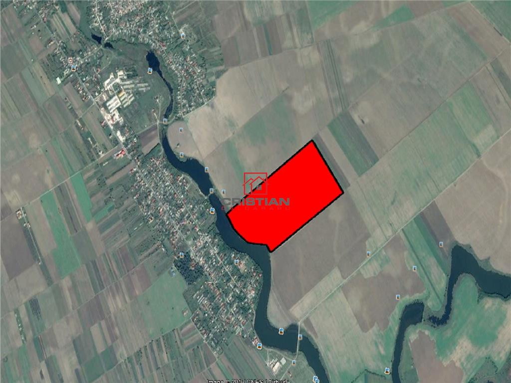 Teren Frumusani - DN4, Calarasi