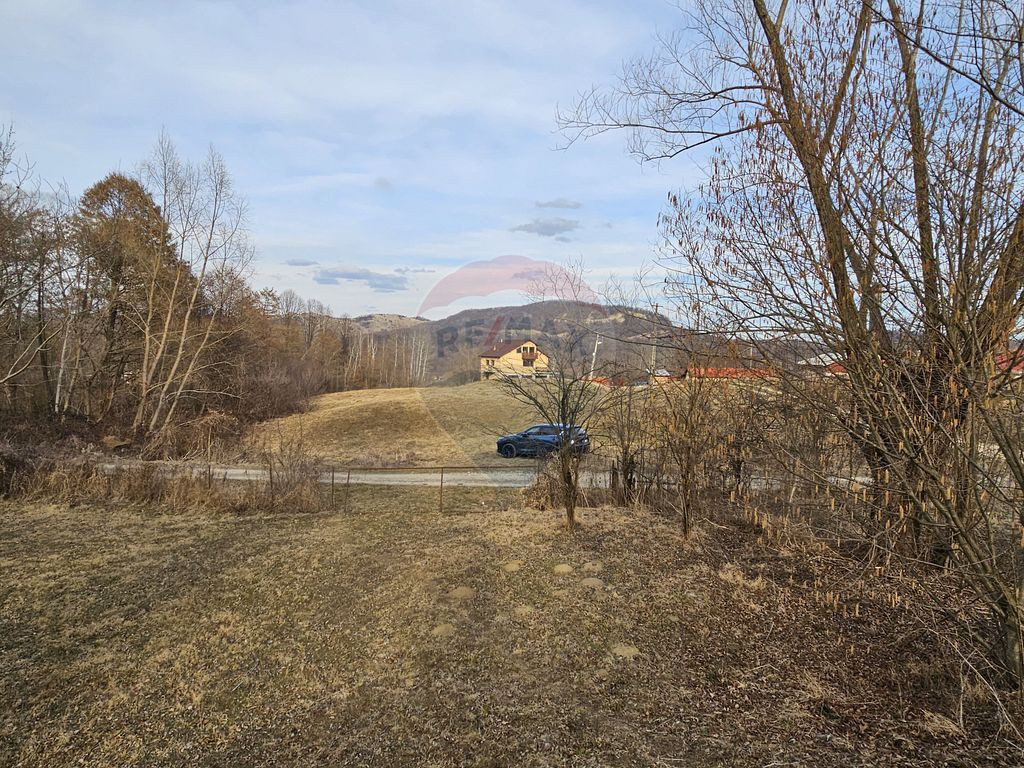 Teren Plaiu_Provita de Sus- intravilan 5373 mp_deschidere...