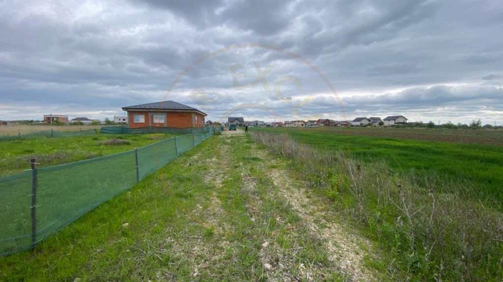 Parcele 500 mp 2 disponibile, com. Albota, jud. Arges.