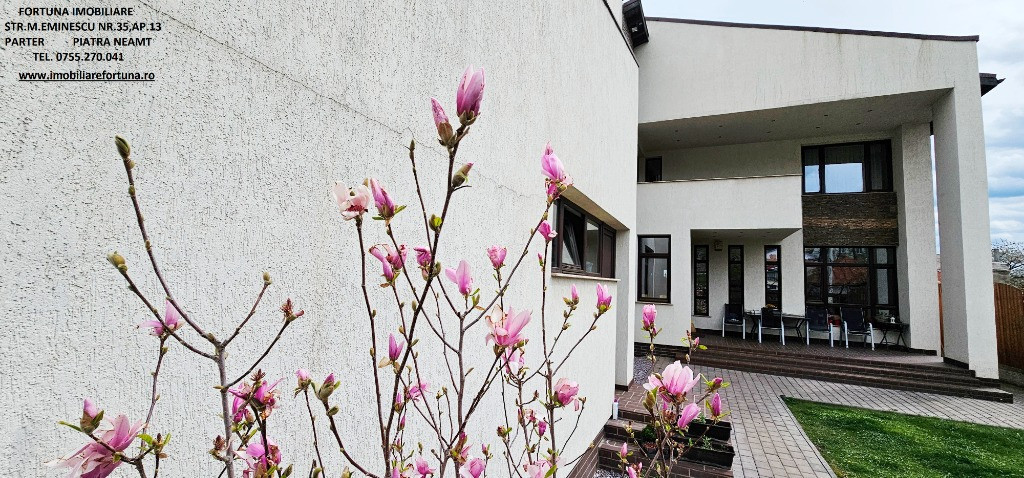 Vila P+E, proiect modern, zona Mai