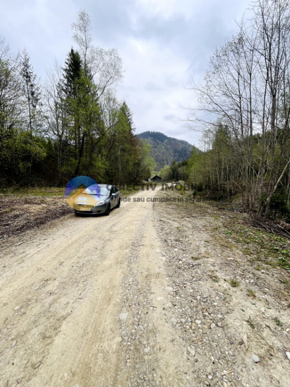 Teren IZVORU MUNTELUI lângǎ orasul BICAZ județul NEAMȚ