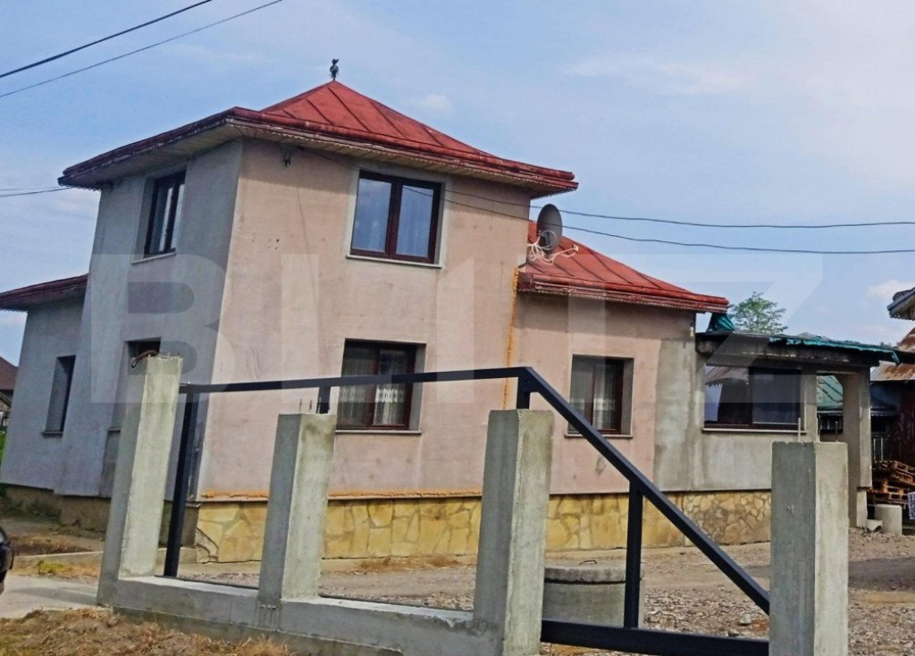 Casă 4 camere, 110 mp și 7000 mp de teren, Mitocu Dragomir
