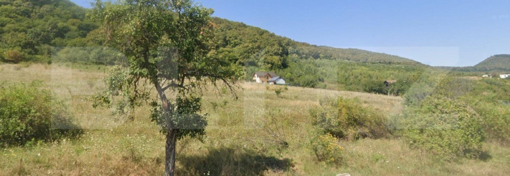 Teren Extravilan, 1300 mp, zona Viisoara