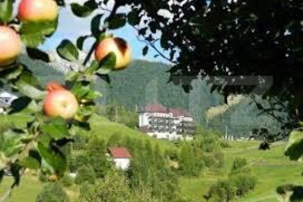 Teren 6.077 mp, Moieciu Pestera