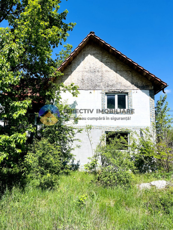 Casǎ ALEXANDRU cel BUN - VǍDURELE județul NEAMȚ