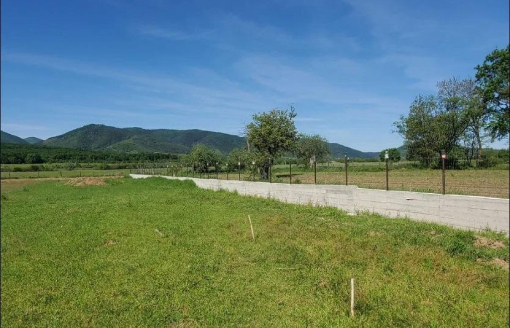 Teren intravilan 3000 mp, in Sacel