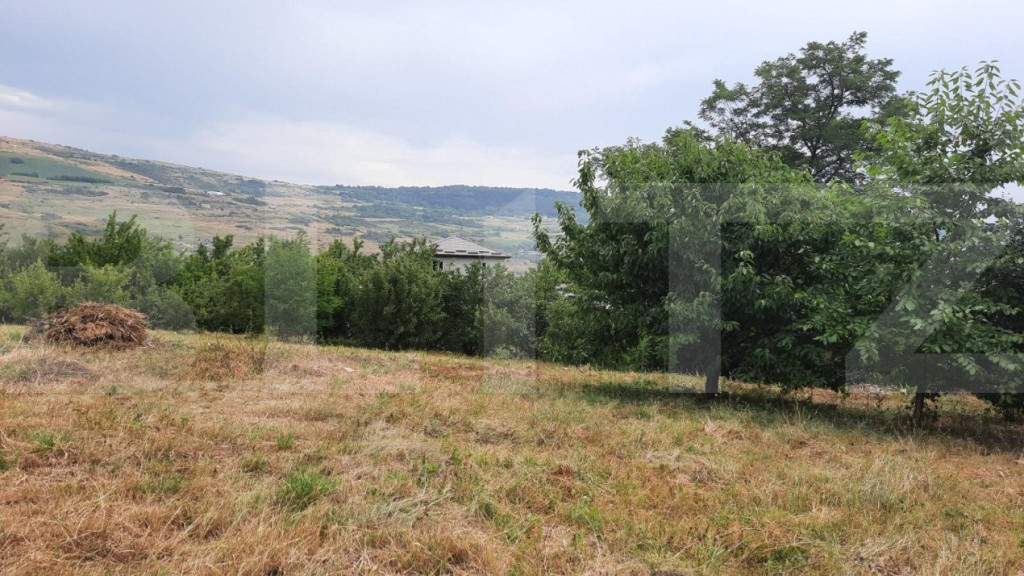 Teren intravilan construibil 2000 mp, Valea Chintaului, curt