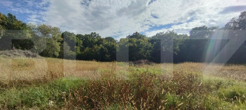 Teren intravilan, 1150 mp, Faget, Drumul Sf. Ion