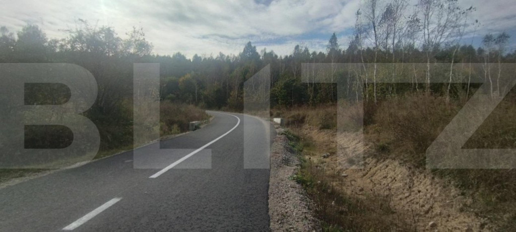 Teren extravilan 5029 mp, pasune impadurita, zona Lacul Mice