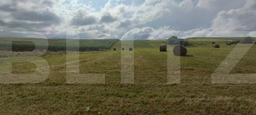 Parcele teren intravilan, 903mp, Salicea