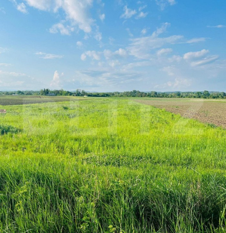 Teren 5500mp extravilan,Sat Dimoiu