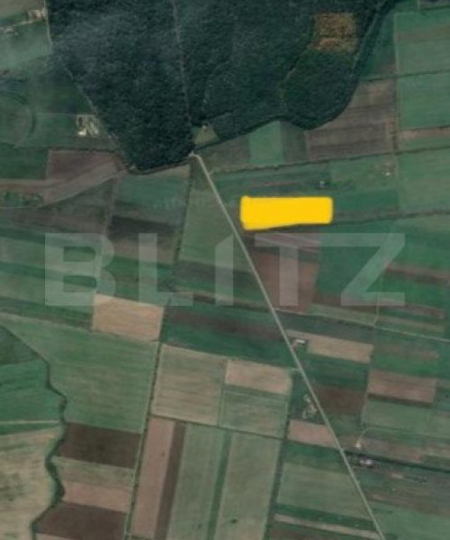 Teren extravilan, 40.600 mp, front 100 ml, langa padure Giro