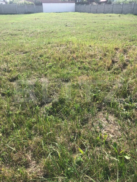 Teren intravilan de vanzare, 735 mp, front 18 ml, Dumbravita