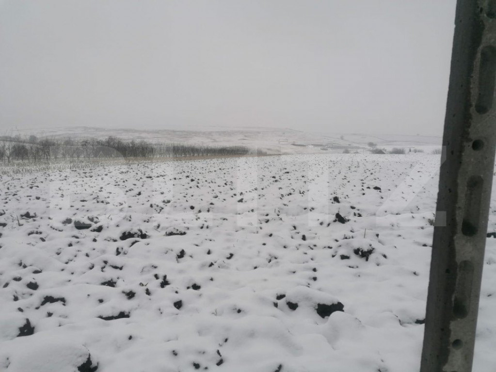 Teren pretabil constructie Liteni Moara