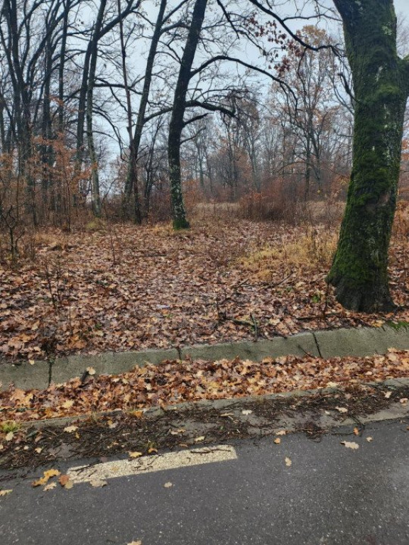 Padure de vanzare, 679 mp, Colina Verde - Smeura