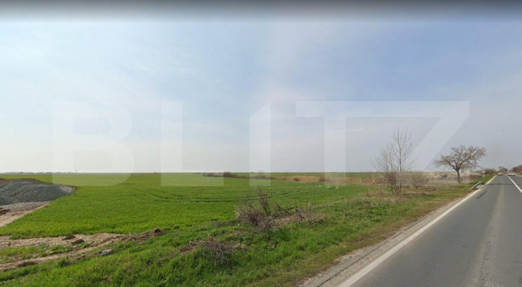 Teren de 5,3 ha pe DN6 , Timisoara - Cenad