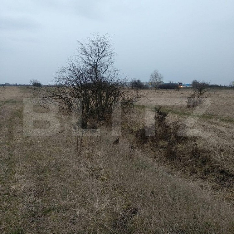 Oportunitate! Teren extravilan de vanzare, 8000 mp, la DN, G