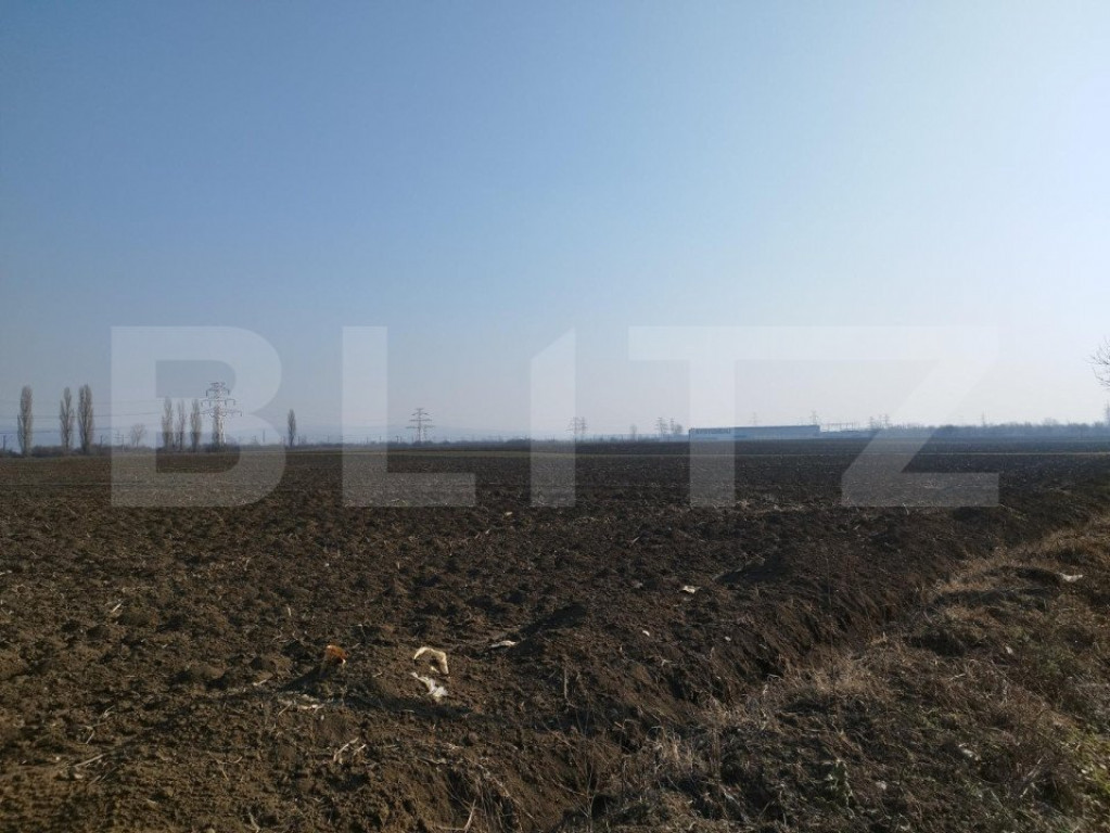 Teren 10000mp, 38ml deschidere, Berceni