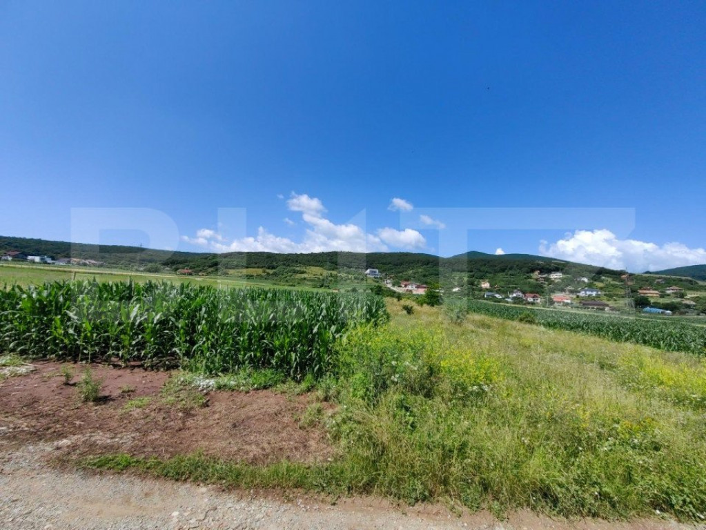 Teren intravilan, 4670 mp, zona Micești partea stanga