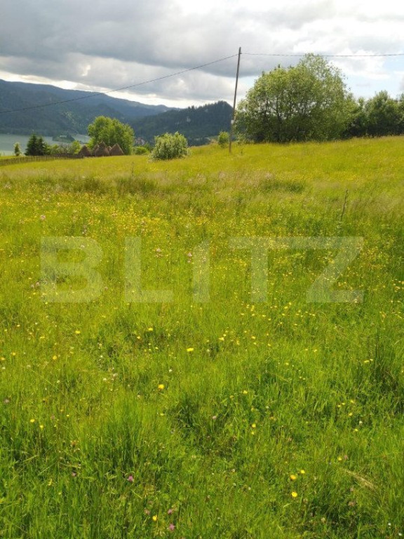 Teren intravilan Colibita ,1200mp