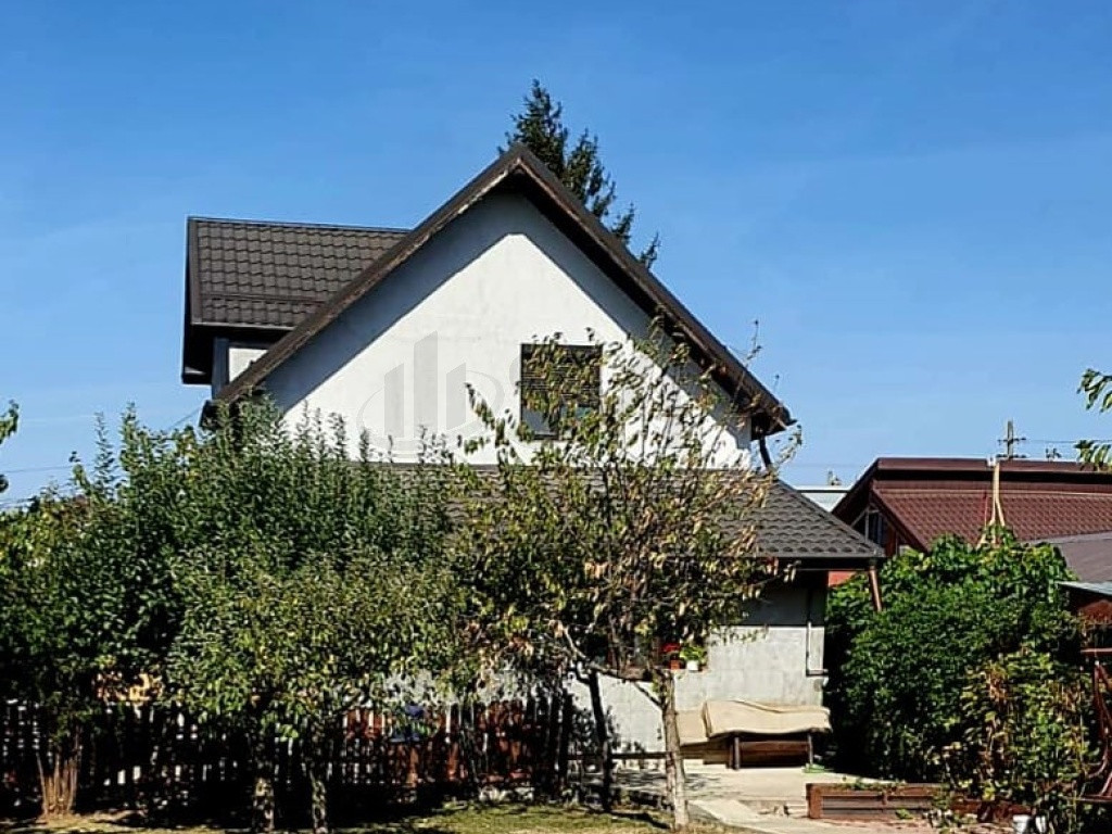 Vila si casa de 7 camere Manastirea Crevedia