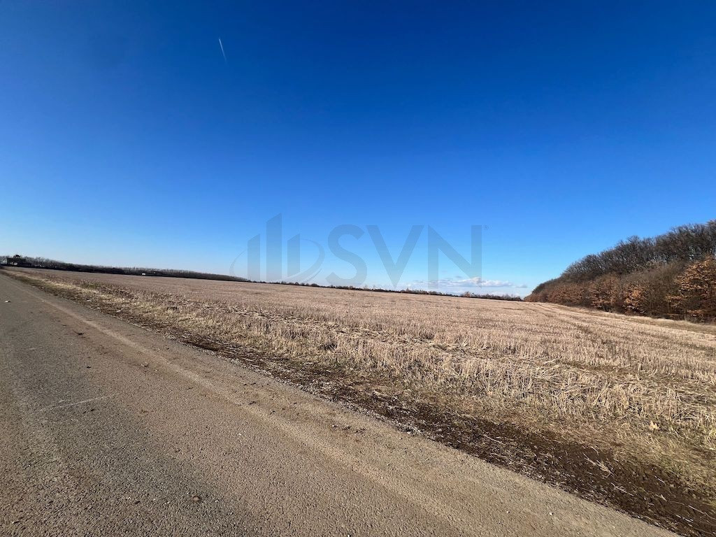 Corbeana - Ostratu 15200 mp langa padure