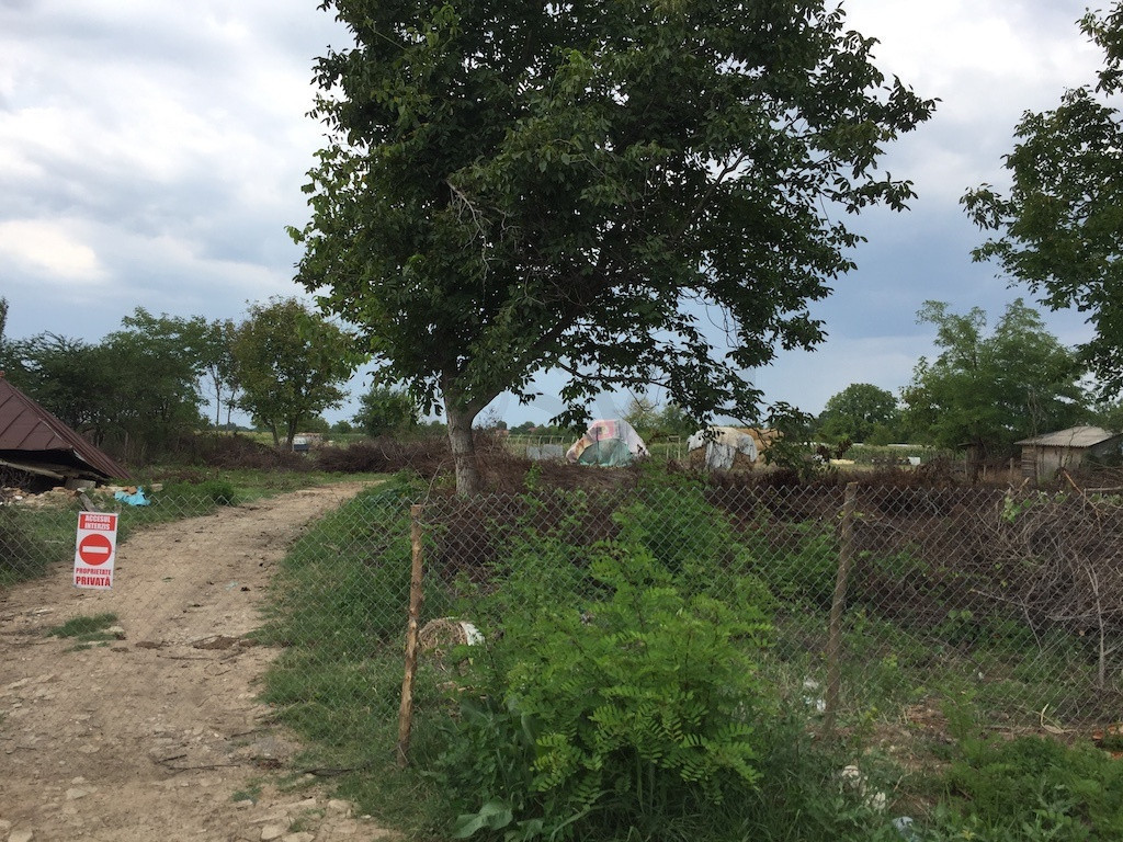 Teren Ciolpani - Piscu - loturi intre 968 mp si 974 mp