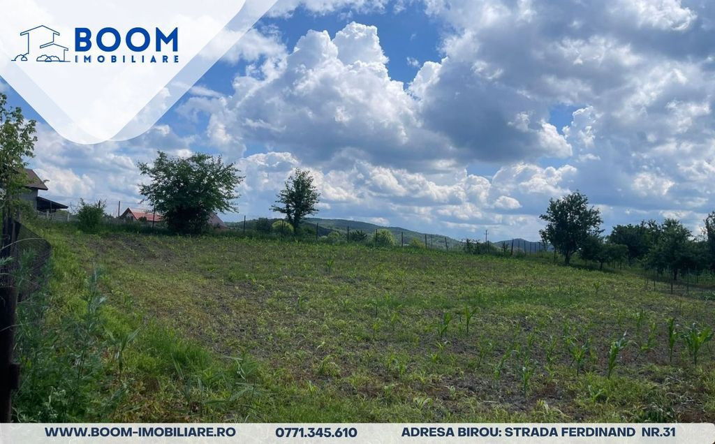 TEREN BUDESTI- RACOVITA| INTRAVILAN| 1350 M|